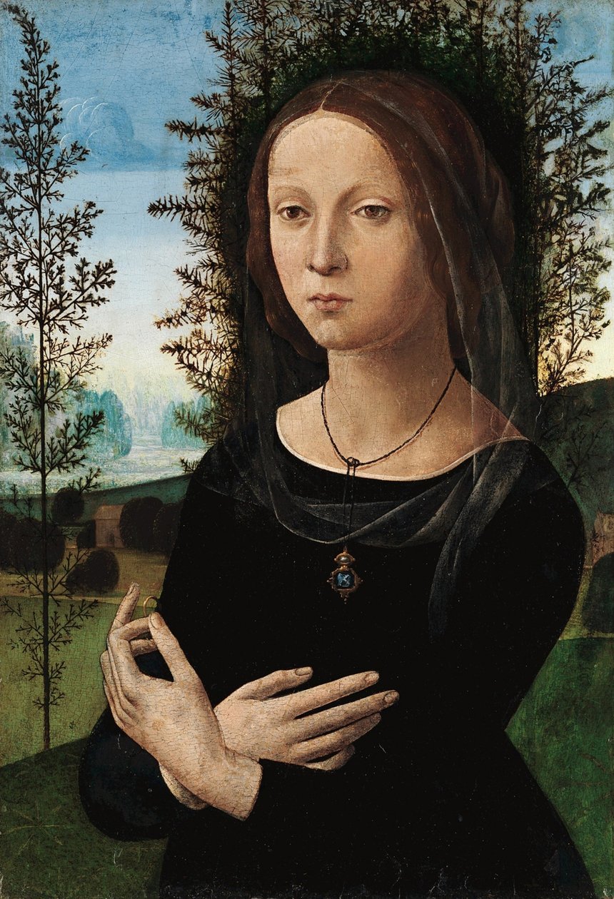Portrett av en ung kvinne av Leonardo da Vinci