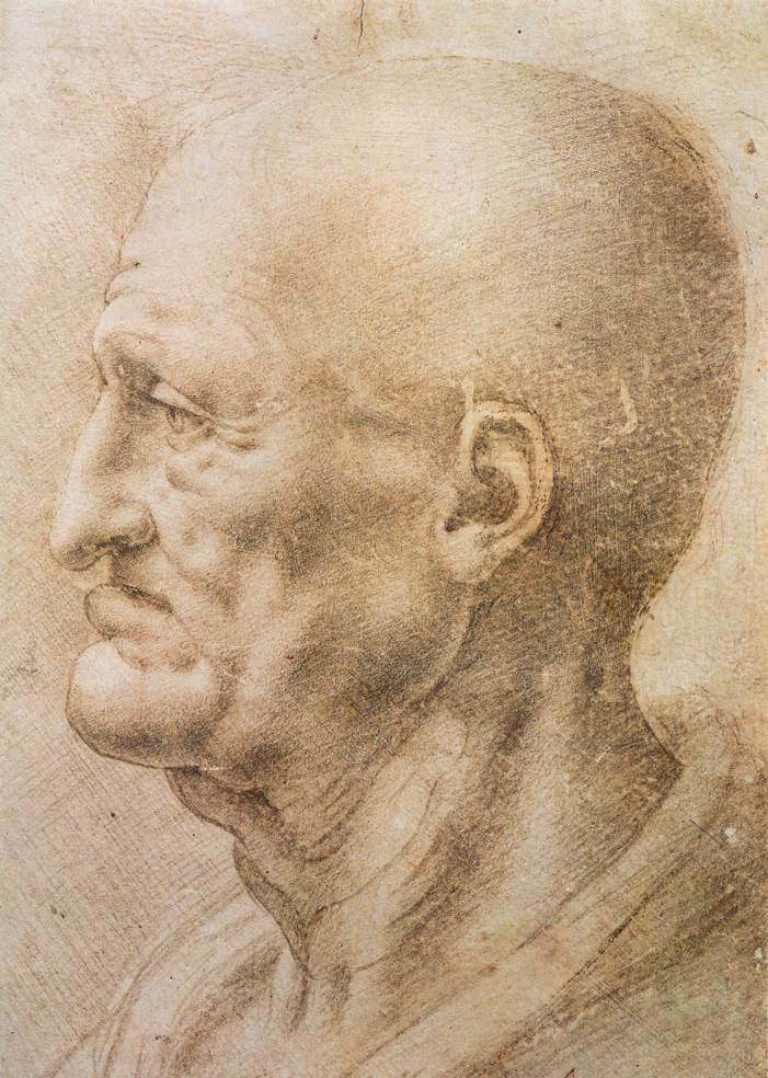 Profil av en gammel mann av Leonardo da Vinci