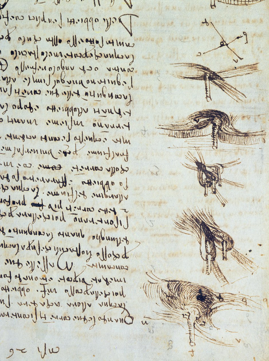 Vitenskapelige diagrammer, fra Codex Leicester, 1508-12 sepia blekk på linpapir detalj av 227790 av Leonardo da Vinci