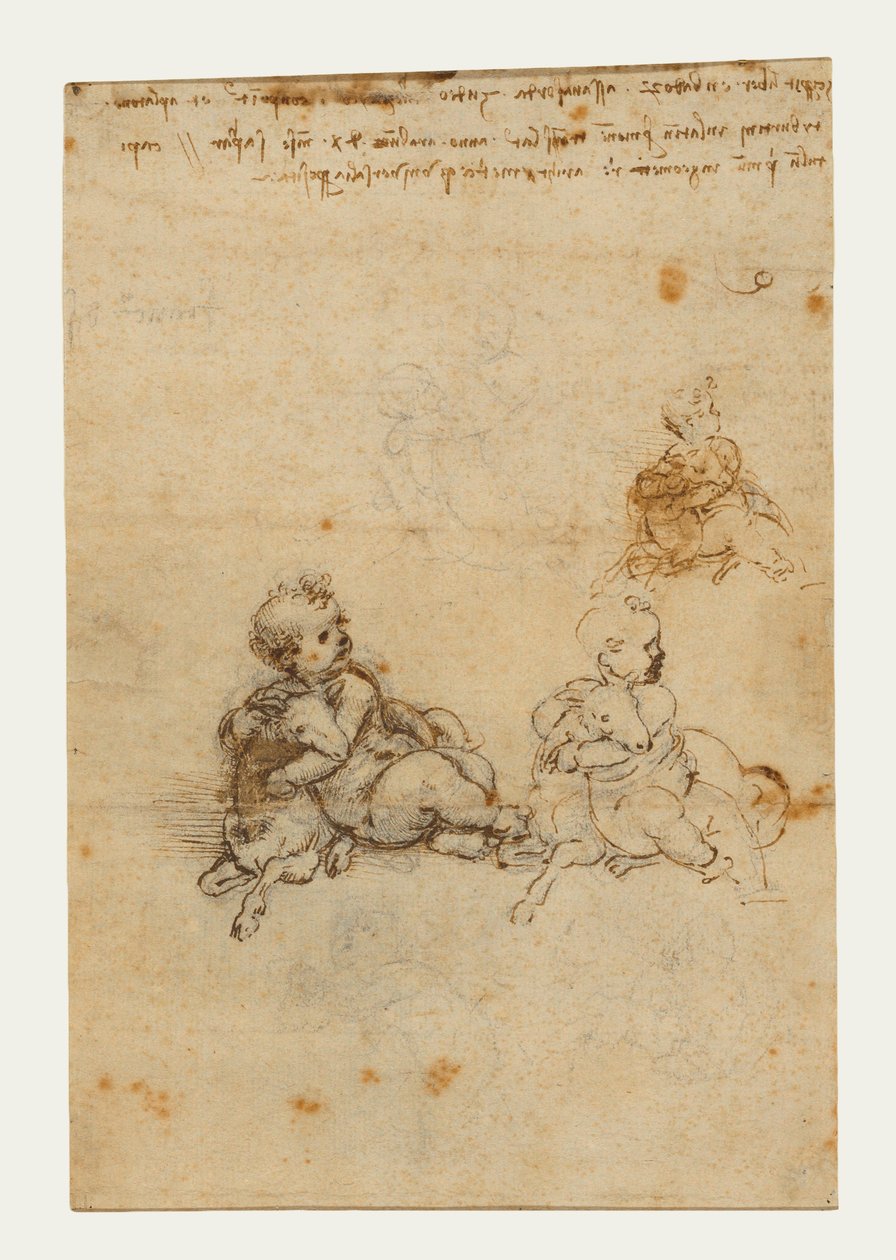 Studier for Kristusbarnet med et lam, ca. 1503-1506 (svart kritt, penn og brunt blekk) av Leonardo da Vinci