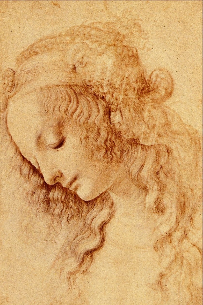 Hoder til en kvinne i profil av Leonardo da Vinci