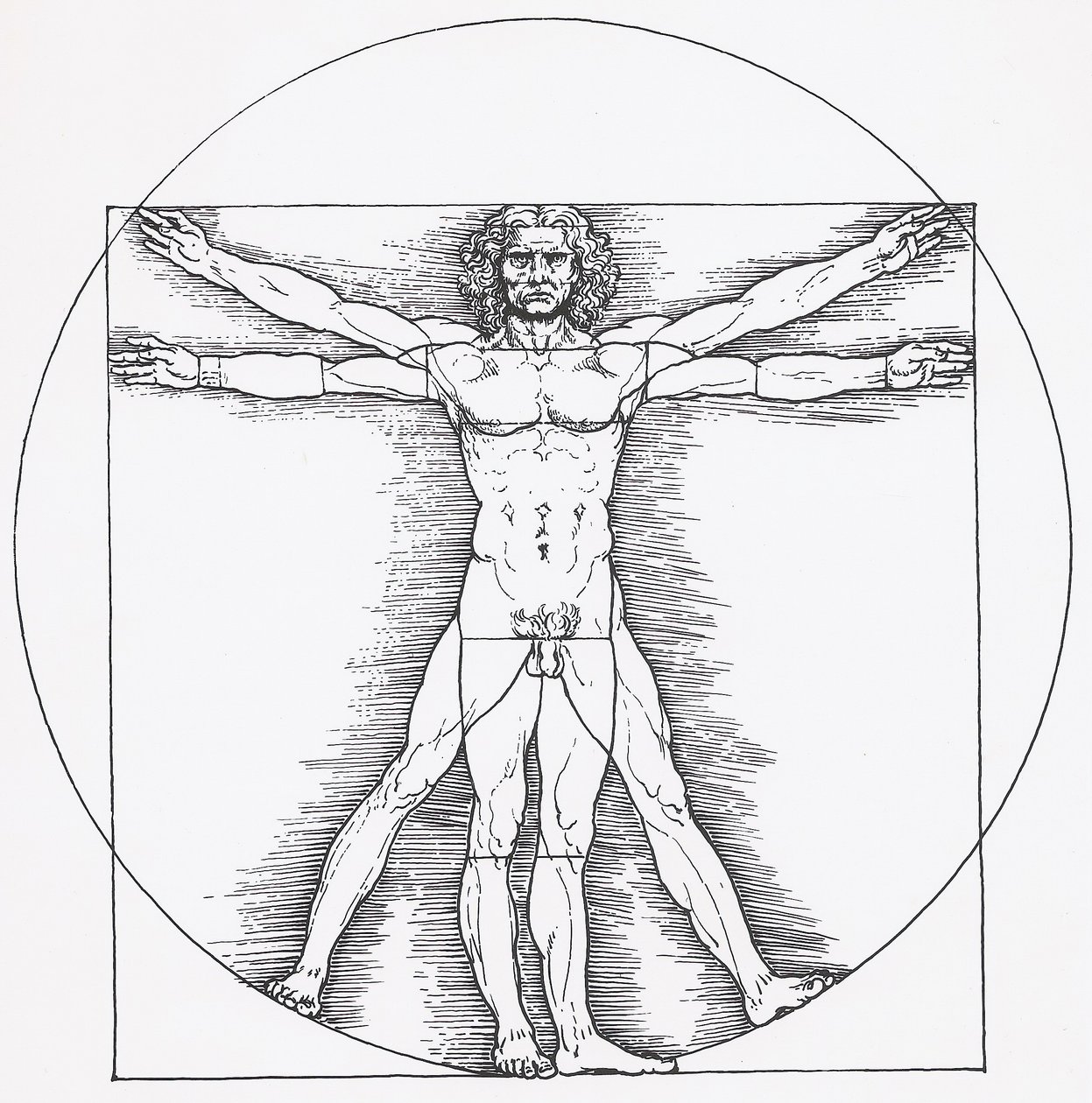 Vitruvianischer Mann av Leonardo da Vinci