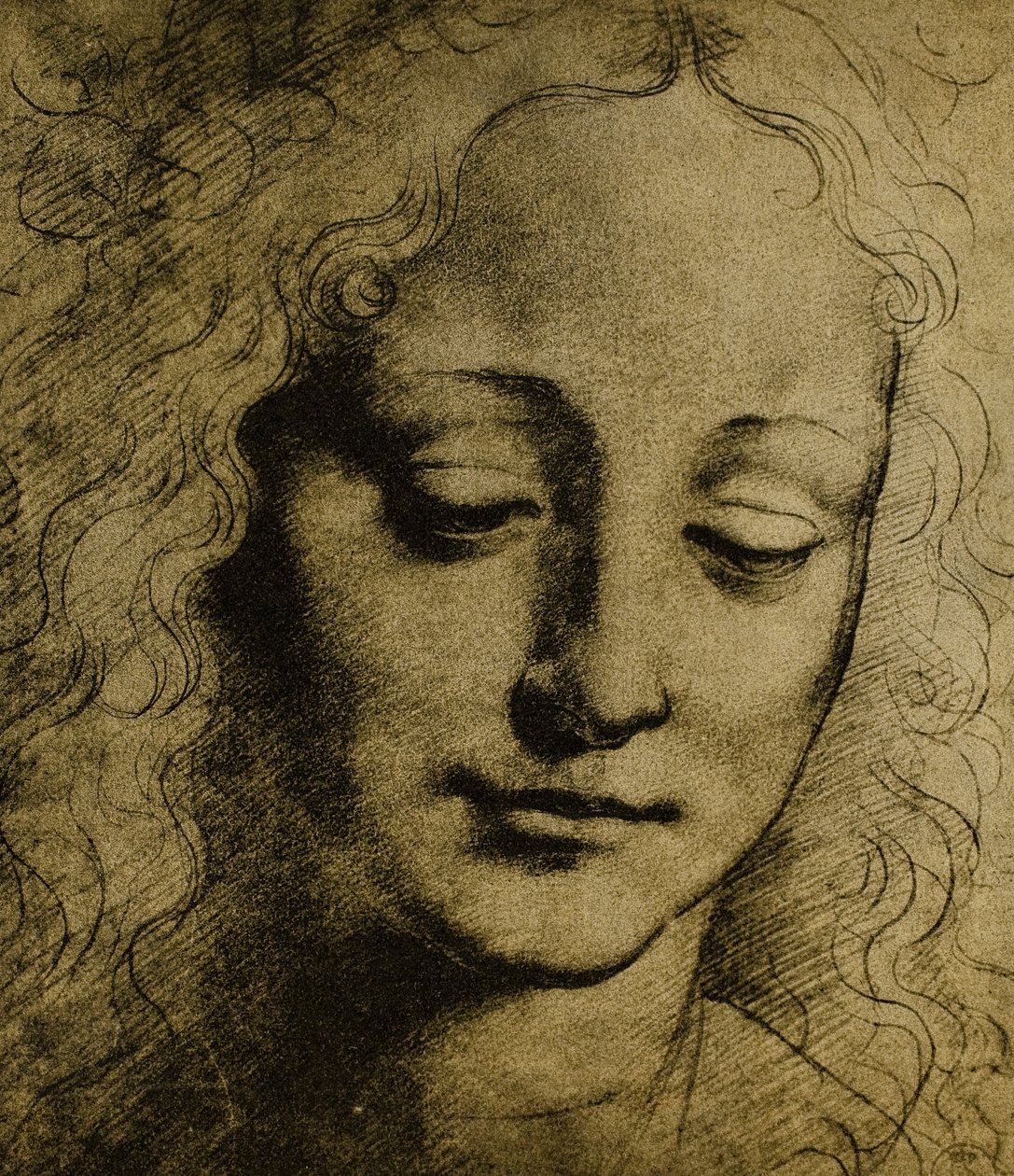 Ungdoms hode; tegning av Leonardo da Vinci. Cabinet of Drawings and Prints, Uffizi Gallery, Firenze av Leonardo da Vinci