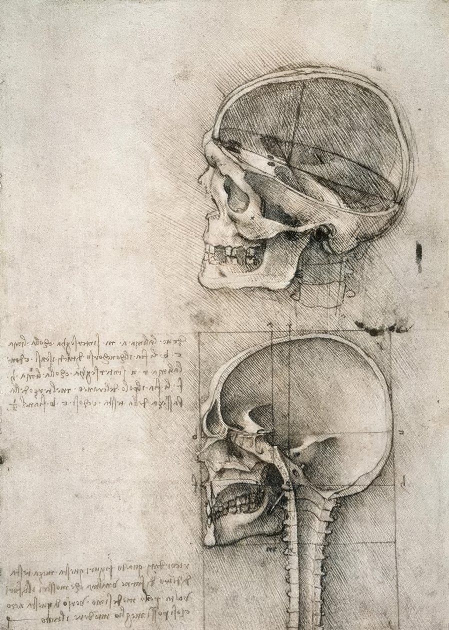 sunn fornuft av Leonardo da Vinci