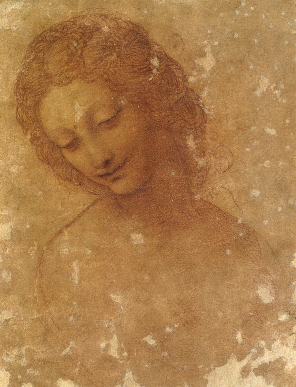 leder for leda, sforzesco slott av Leonardo da Vinci