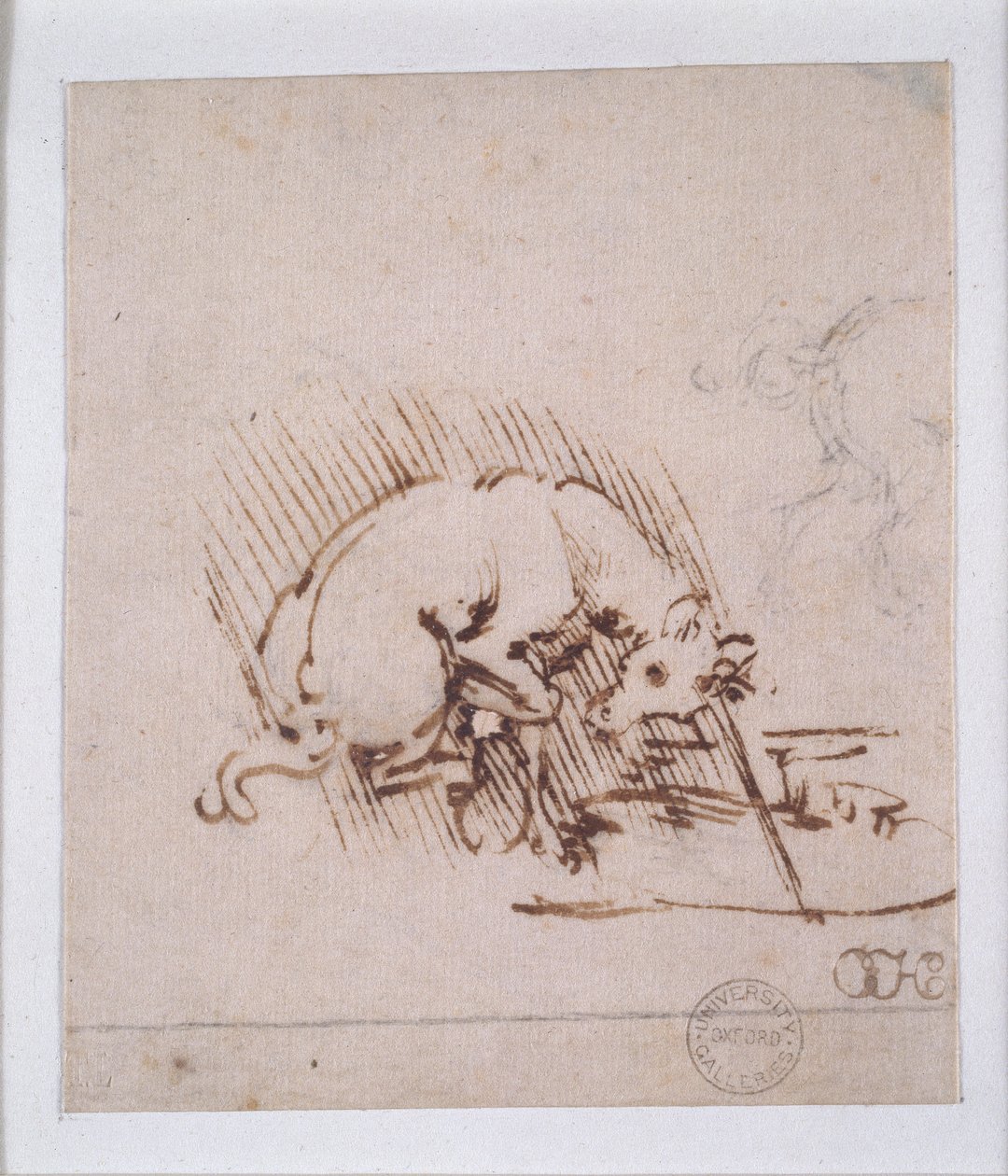 En enhjørning, c1472-1519 av Leonardo da Vinci