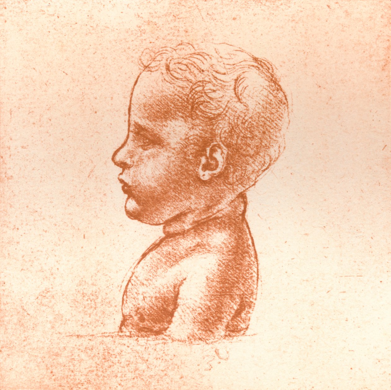 Byste av en gutt, c1472-c1519 1883 av Leonardo da Vinci