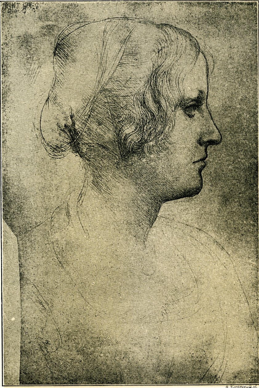 Kvinnelig profilhode av Leonardo da Vinci