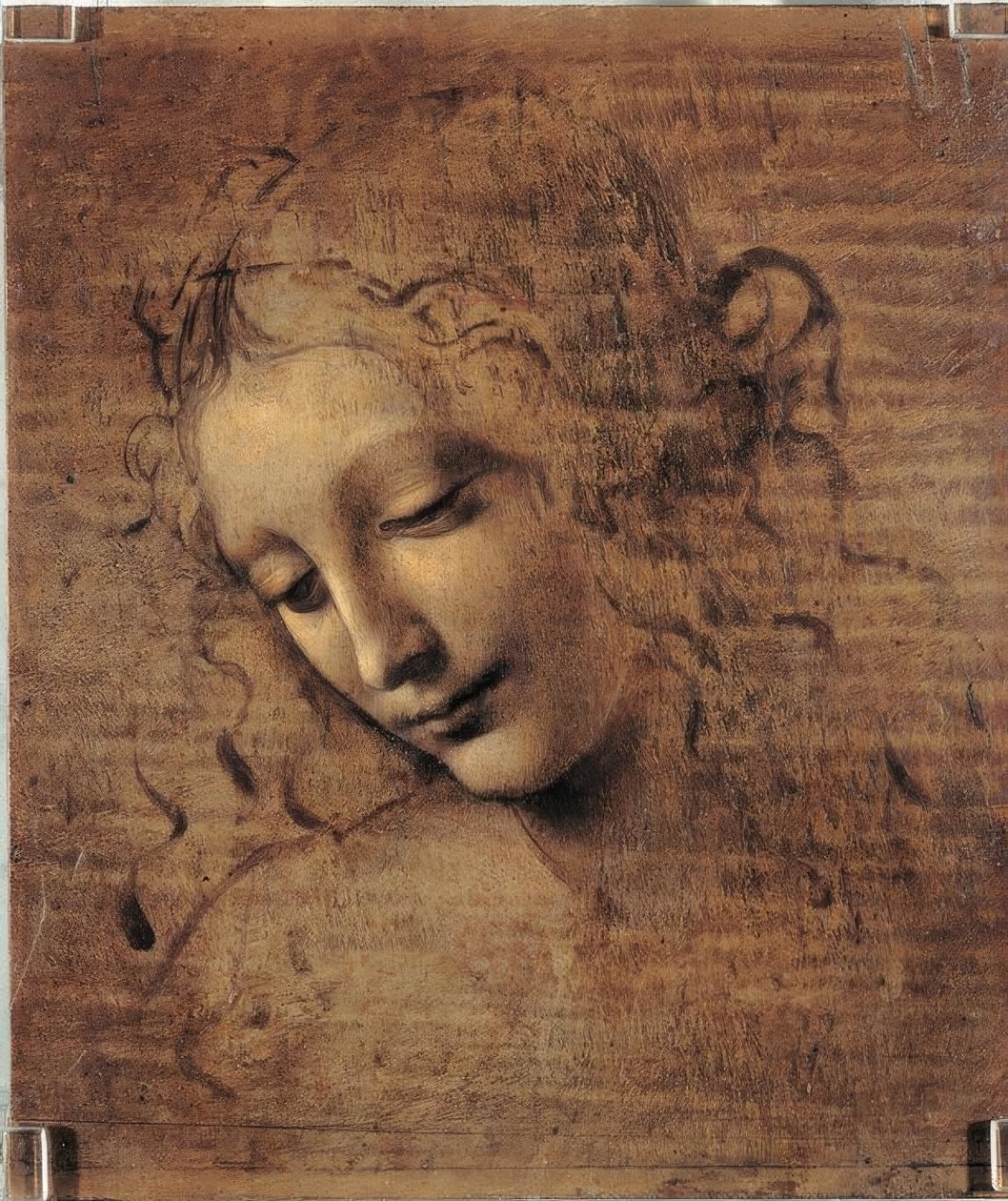 Kvinnehode av Leonardo da Vinci