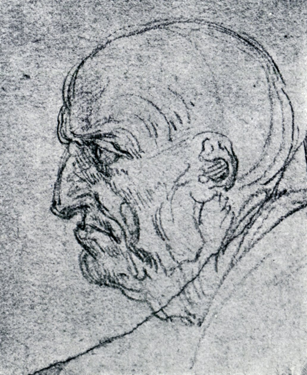 Leder for en gammel mann, 1913 av Leonardo da Vinci