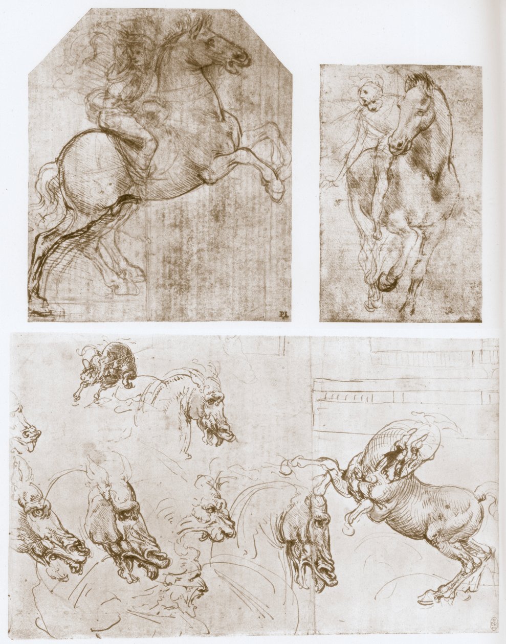 Rytter, 1480-1481. av Leonardo da Vinci