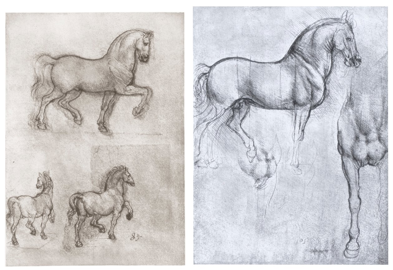 Hester, c1490-1510 av Leonardo da Vinci
