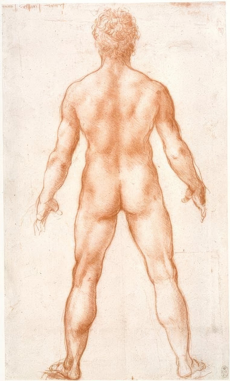 Naken mann bakfra av Leonardo da Vinci