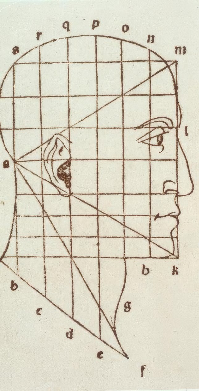 Proporsjonsstudie av menneskets hode av Leonardo da Vinci