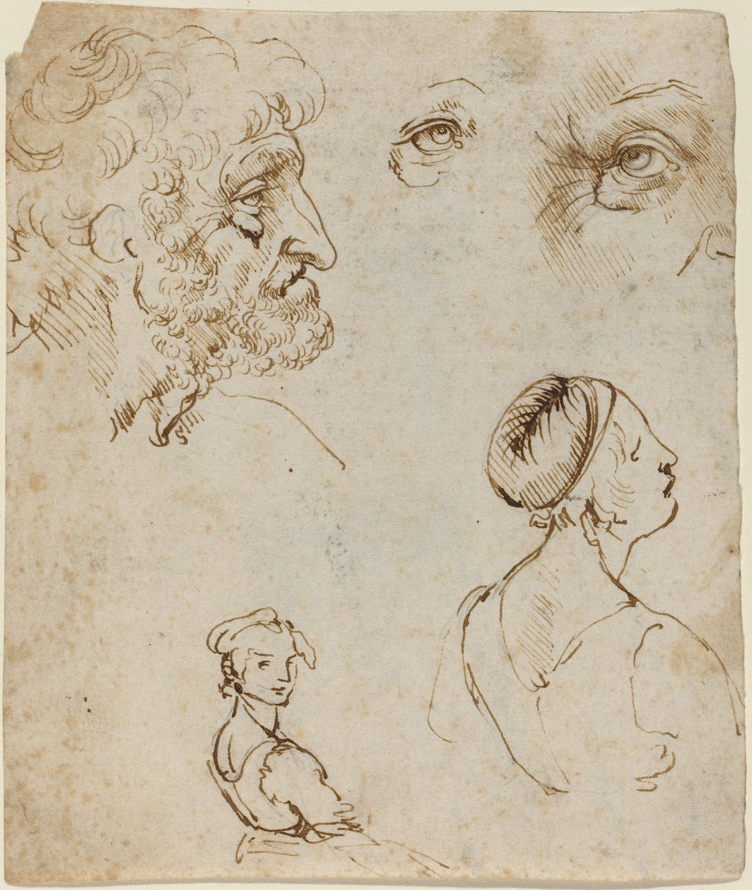 Studieark [recto] av Leonardo da Vinci