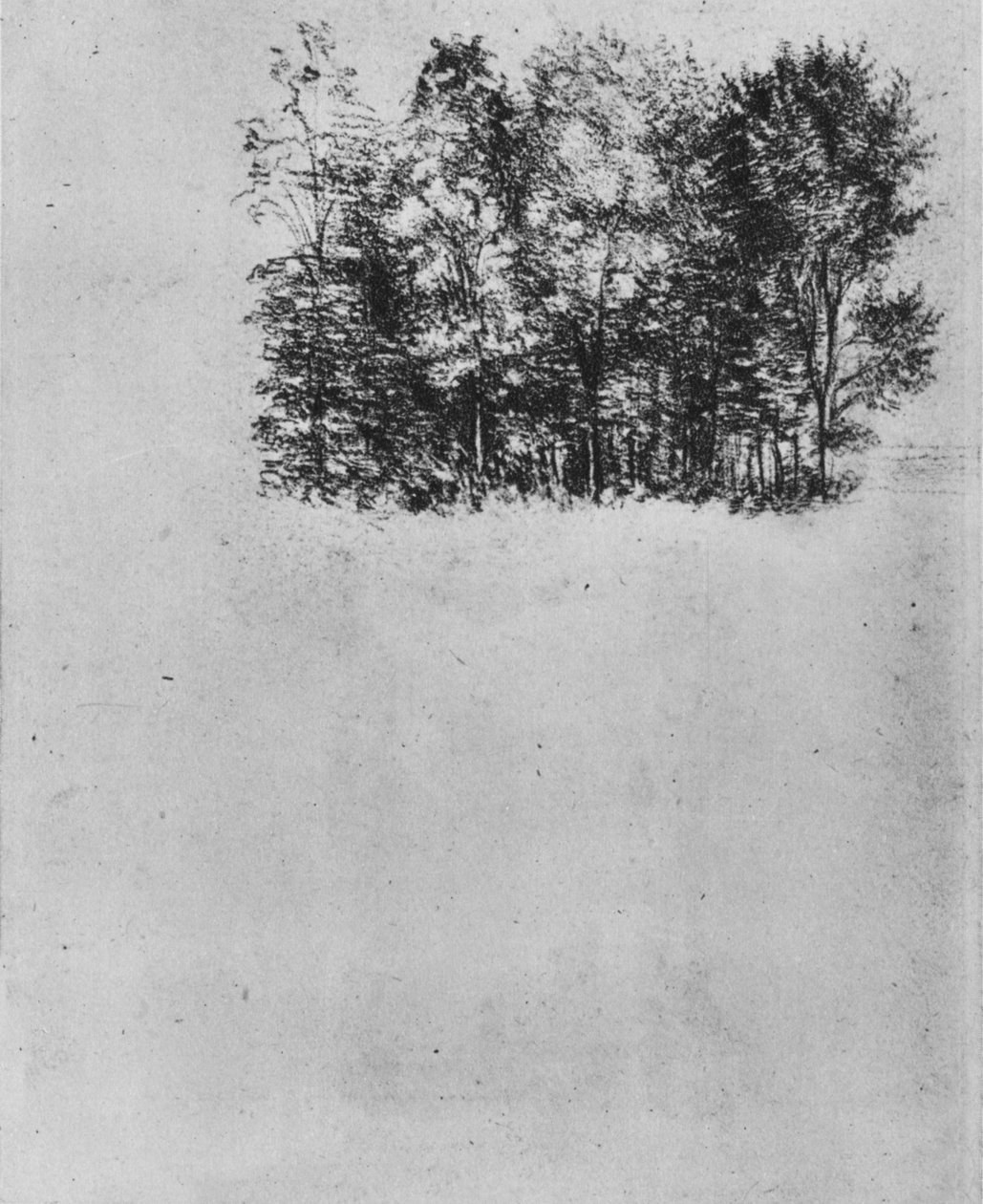 Study of a Coppice, c1480 1945 av Leonardo da Vinci