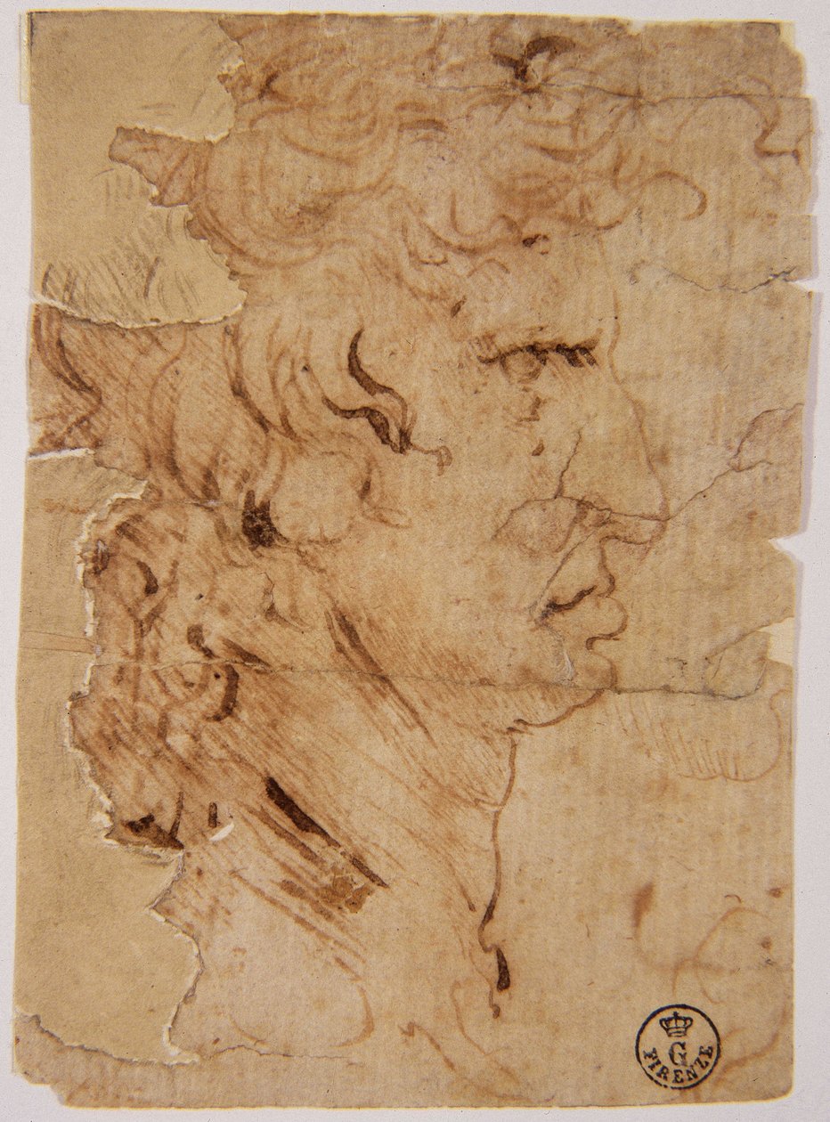 Ukjent bilde av Leonardo da Vinci