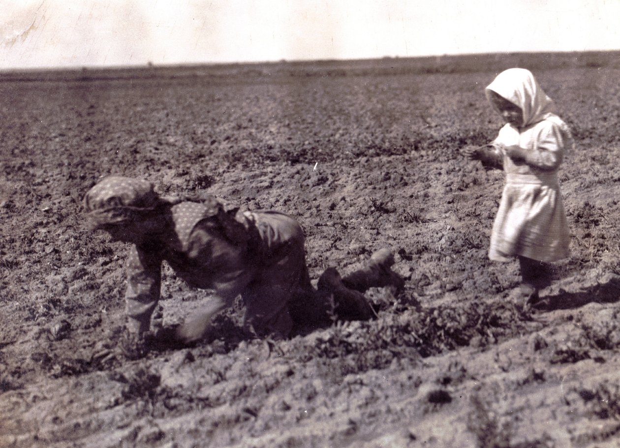 Ukjent bilde av Lewis Wickes Hine