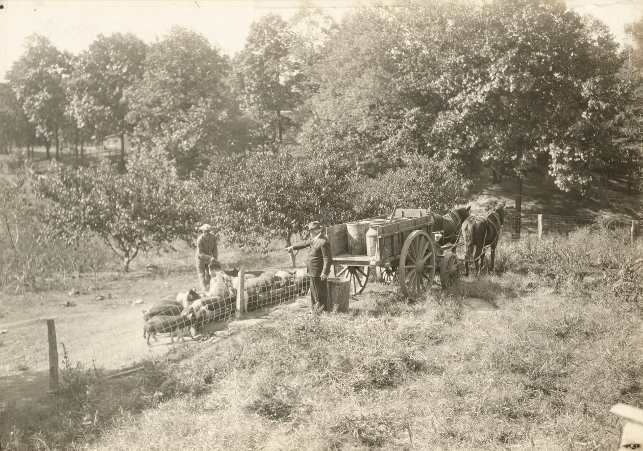 Uten tittel, ca. 1935. av Lewis Wickes Hine