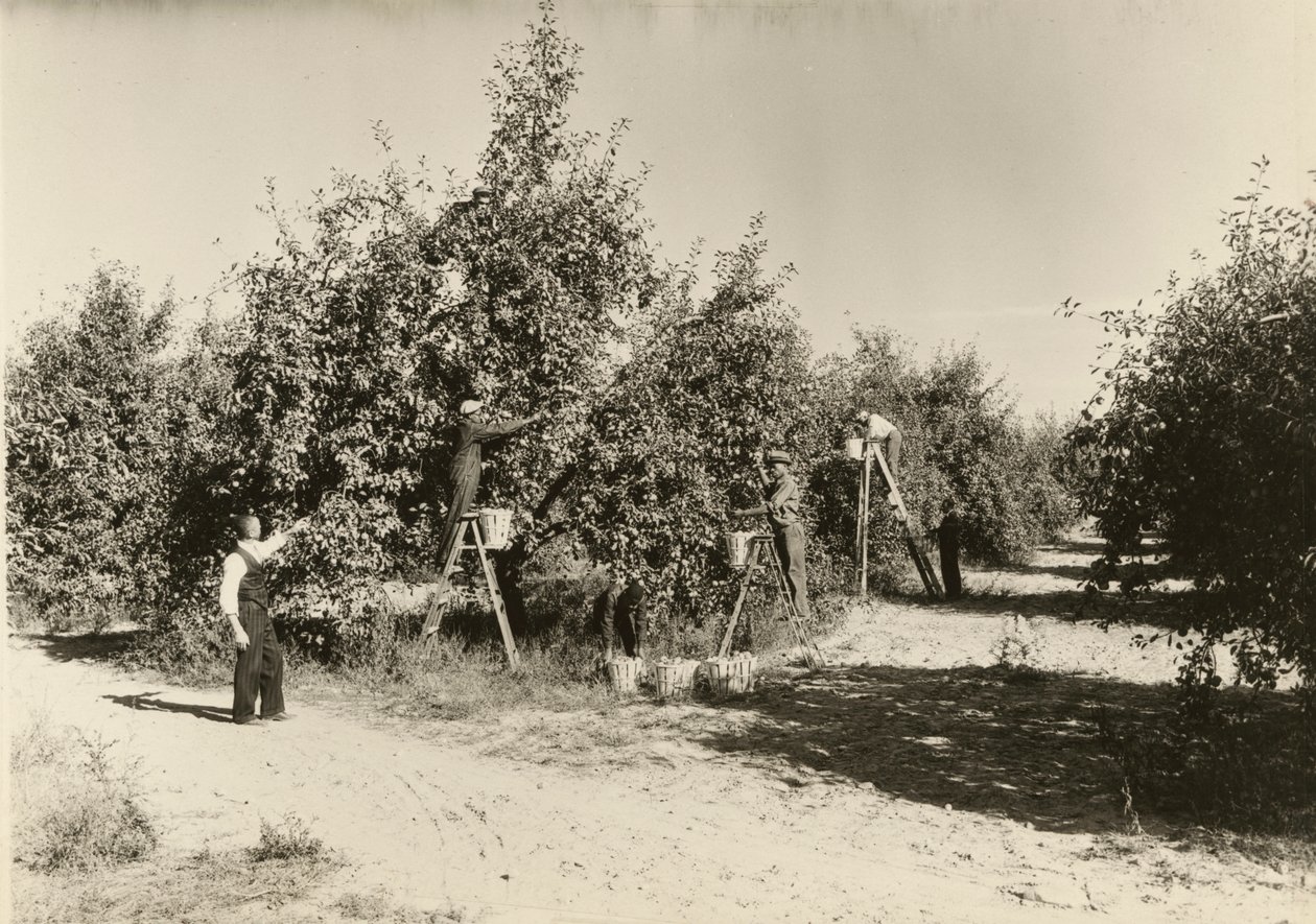 Uten tittel, ca. 1935. av Lewis Wickes Hine