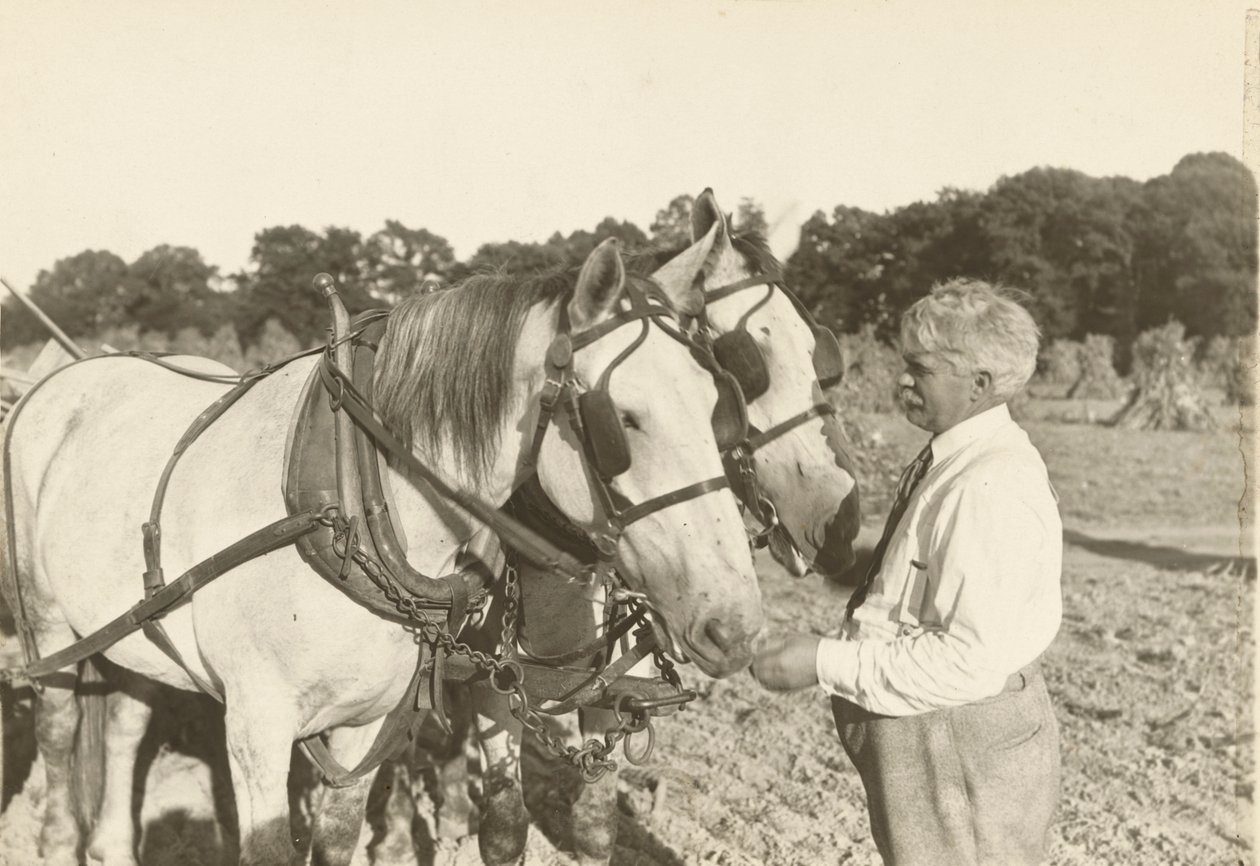 Uten tittel, ca. 1935. av Lewis Wickes Hine