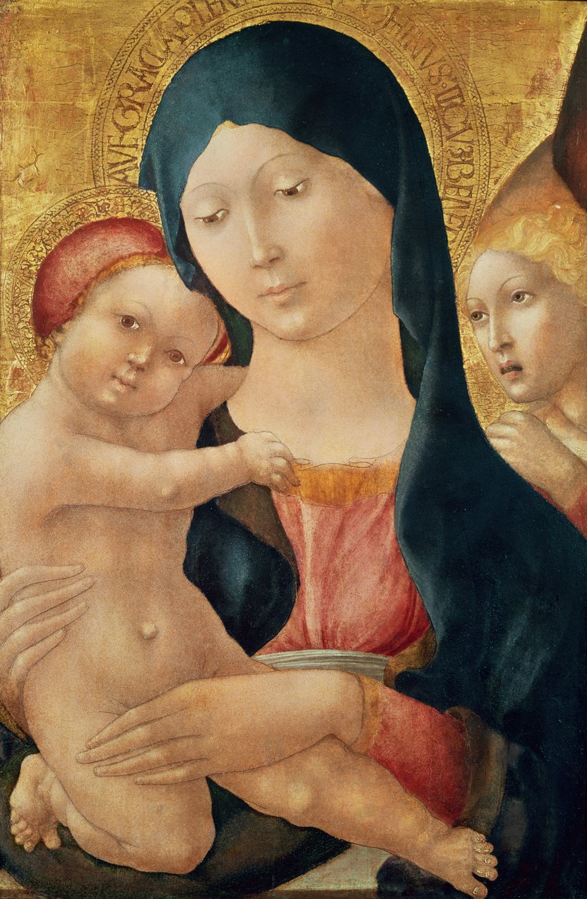 Jomfru og barn med en engel, ca. 1468-70 (tempera på panel) av Liberale da Verona