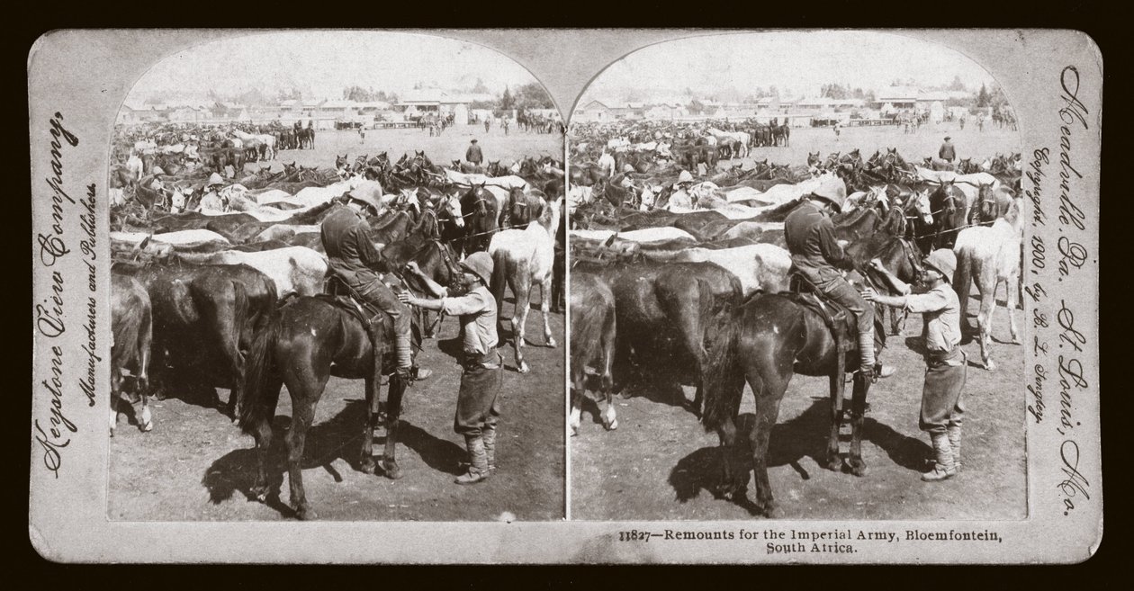 Boer War (Sør-Afrika av Unbekannt Unbekannt