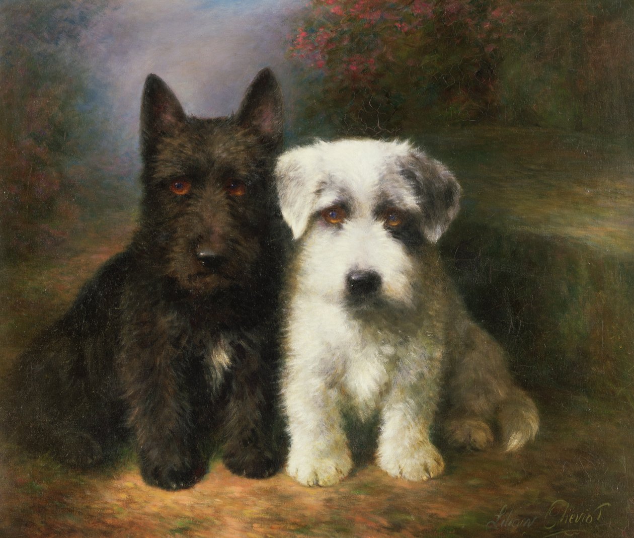 En skotsk og en Sealyham Terrier av Lilian Cheviot