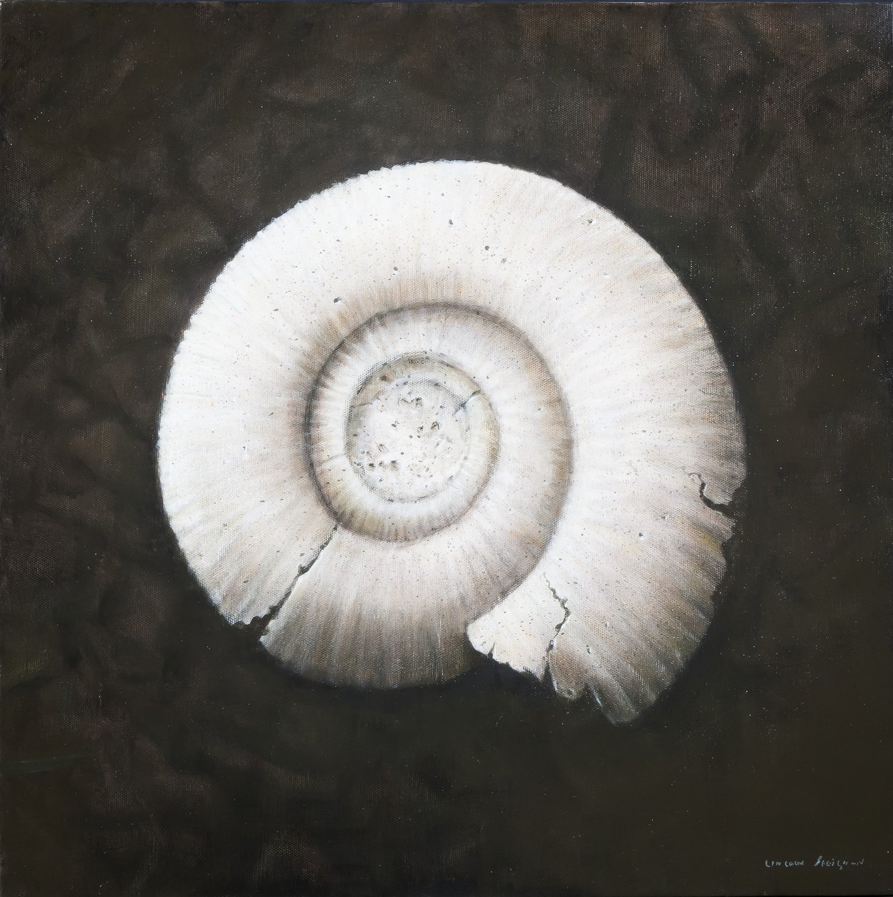 Amononite, 2012 (akryl på lerret) av Lincoln Seligman