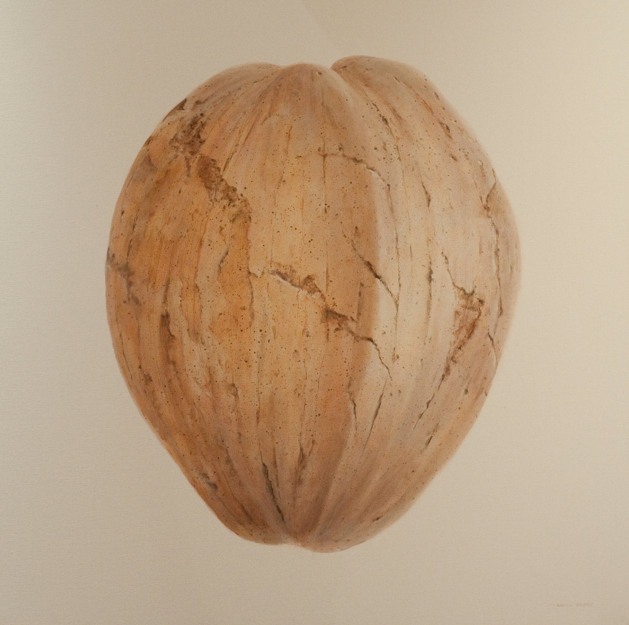 Coconut, Sri Lanka, 2010 (akryl på lerret) av Lincoln Seligman