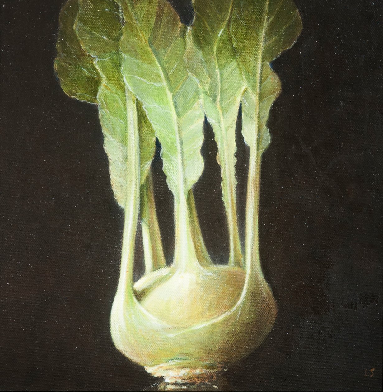 Kohl Rabi, 2012 (akryl på lerret) av Lincoln Seligman