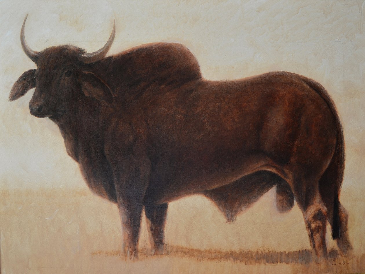 Brahmin Bull av Lincoln Seligman