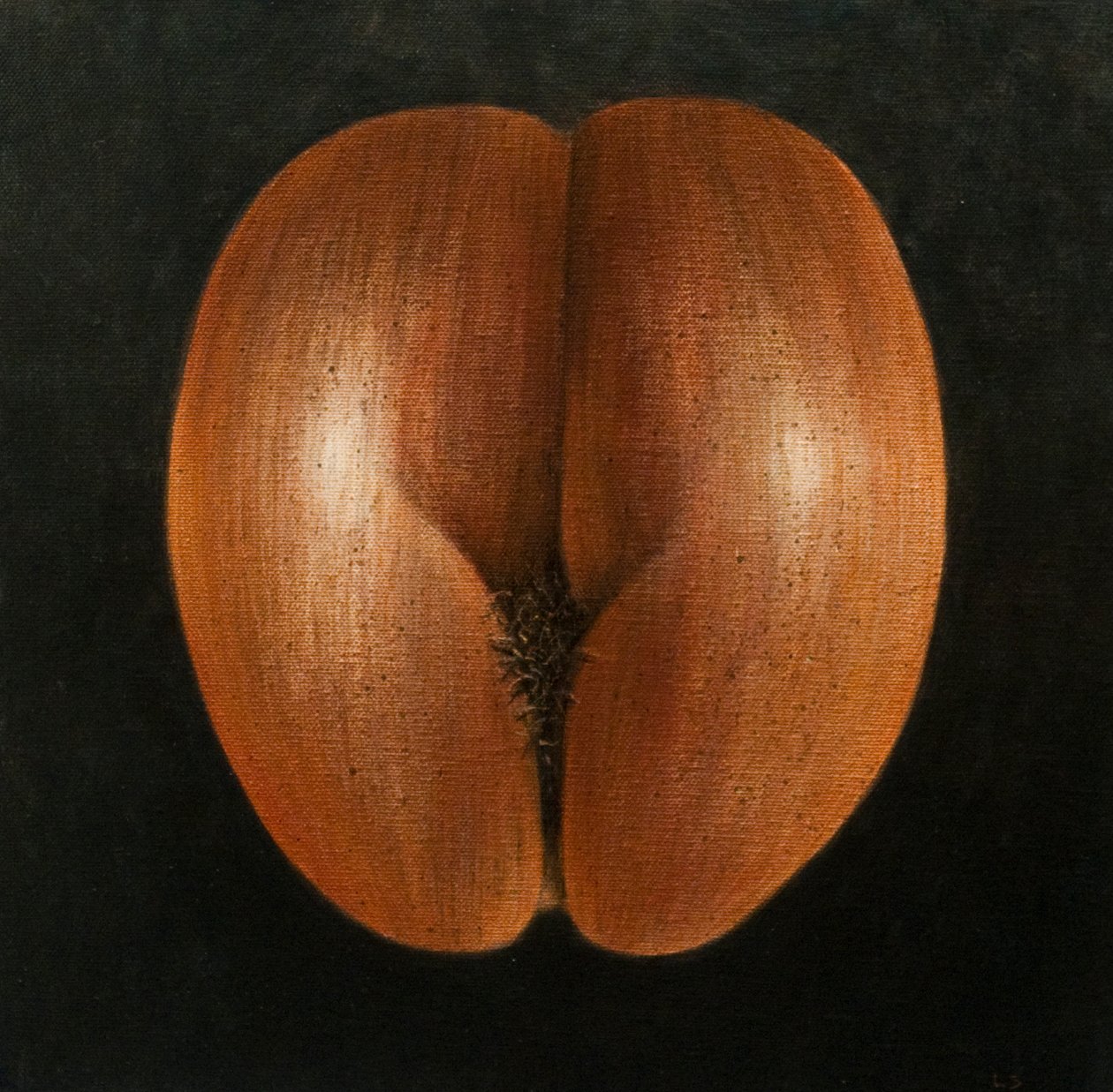 Coco de Mer, 2010 (akryl på lerret) av Lincoln Seligman