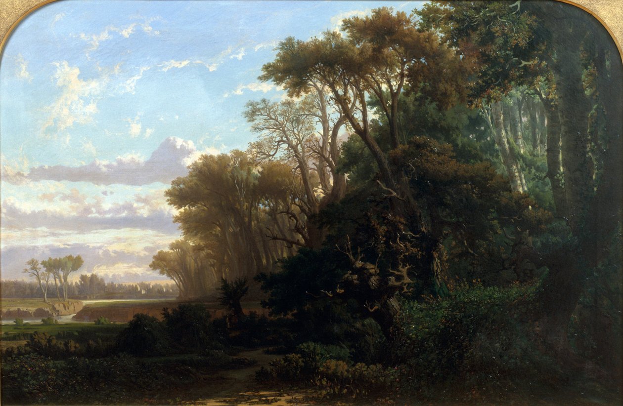 Landskap med skog av Lluís Rigalt