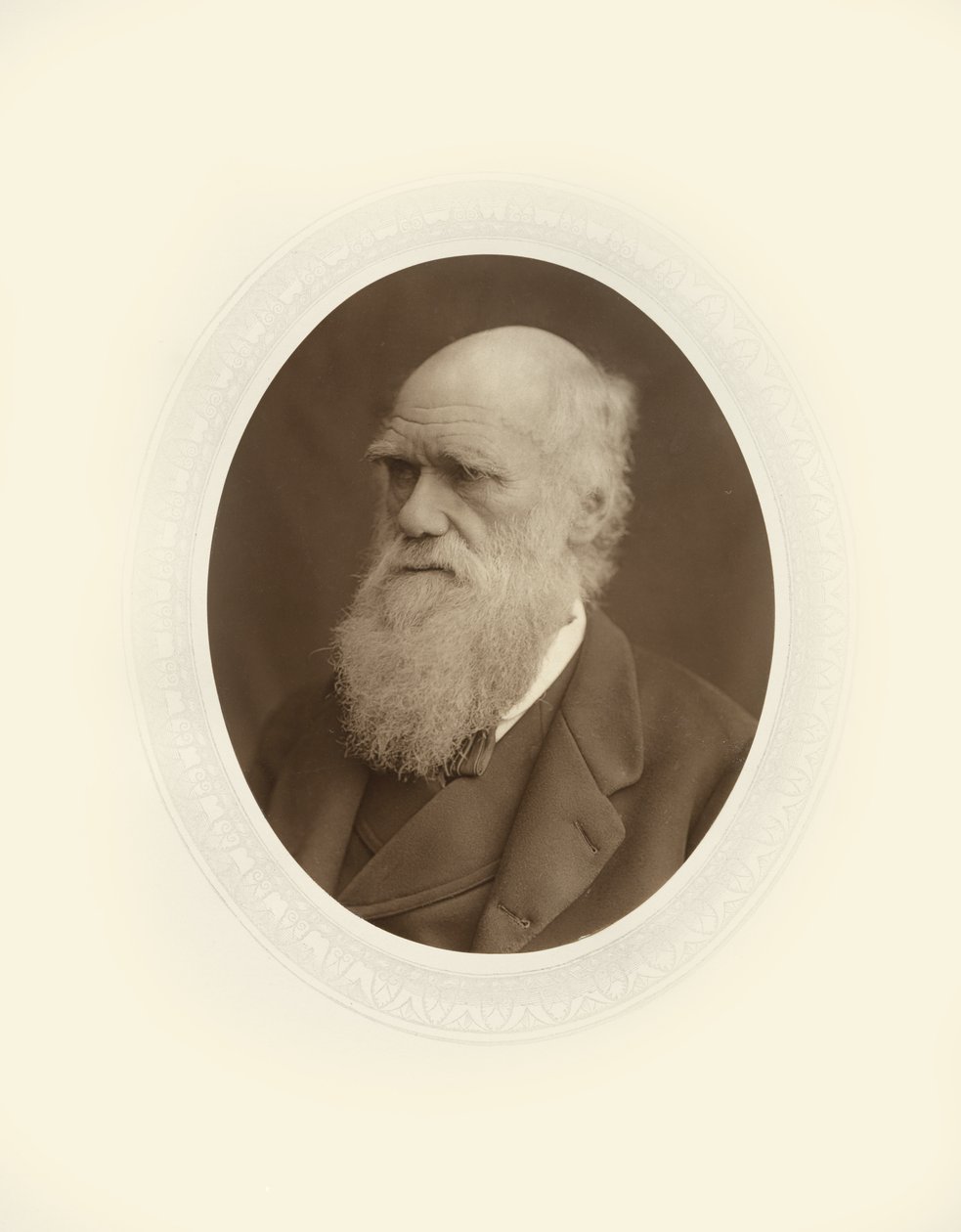 Charles Robert Darwin av Lock and Whitfield