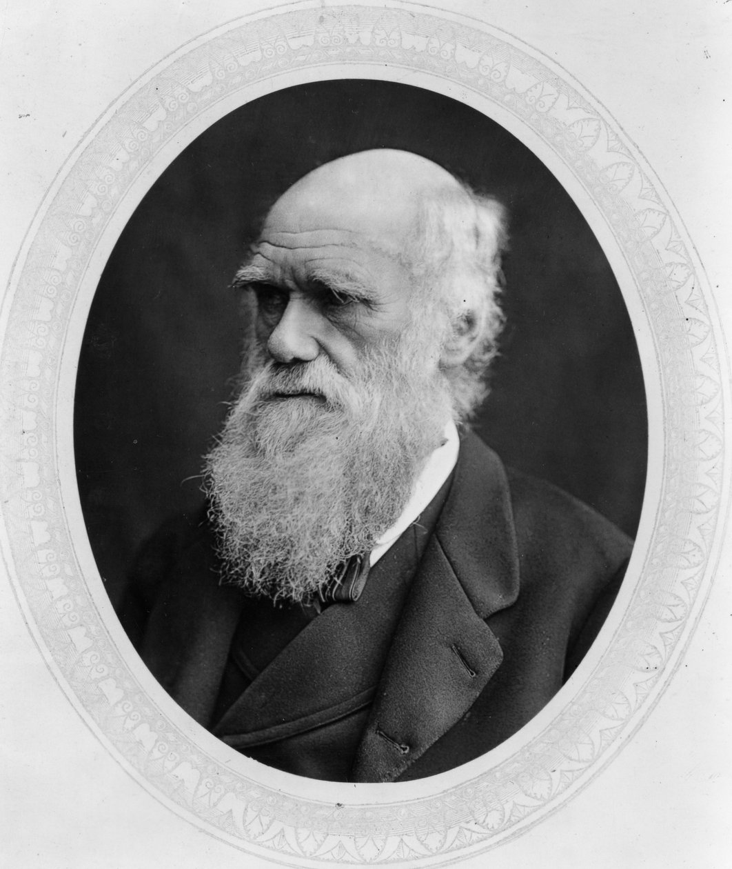 Charles Robert Darwin av Lock and Whitfield