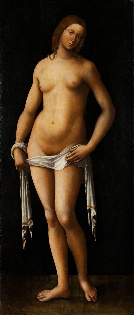 Venus av Lorenzo Costa