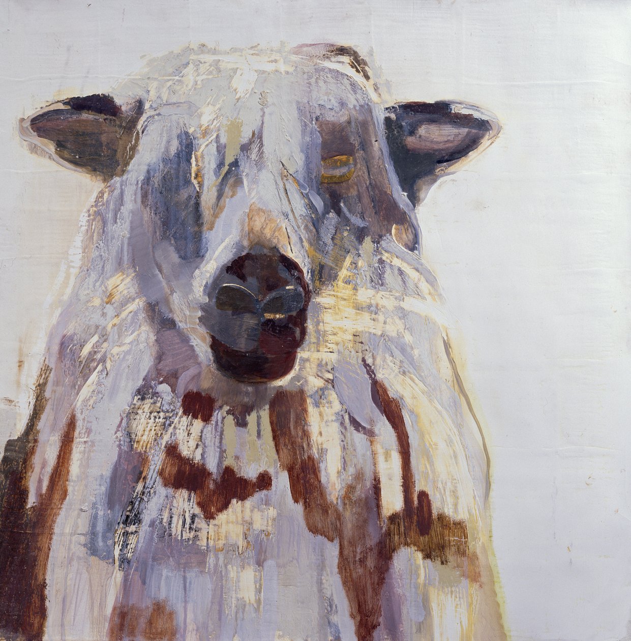 Sau (blandet medium på gesso på papir) av Lou Gibbs