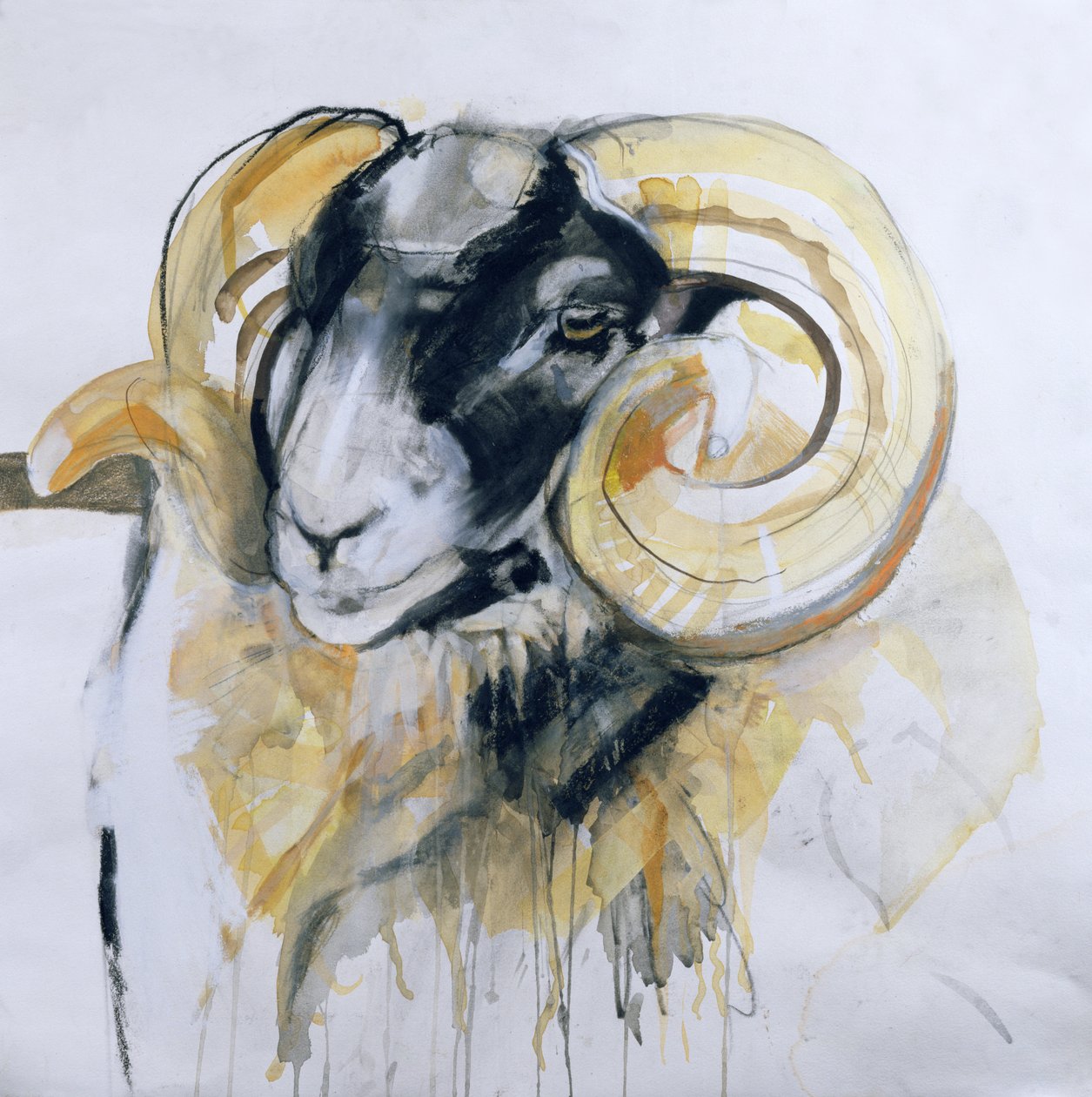 Long Horn Sheep (blandet media) av Lou Gibbs
