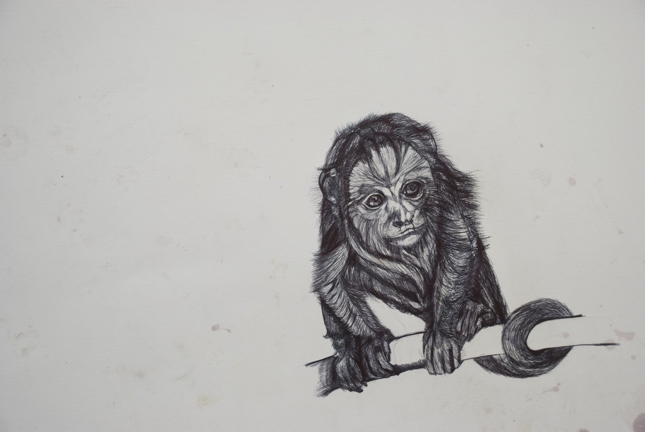 Monkey Business, 2016, (bic biro på papir) av Lou Gibbs