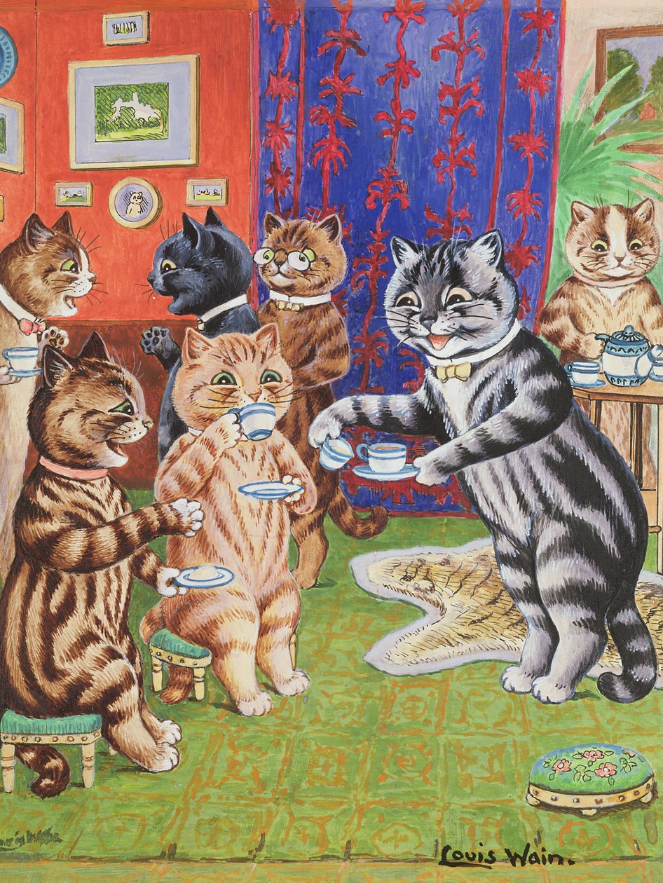 Cat