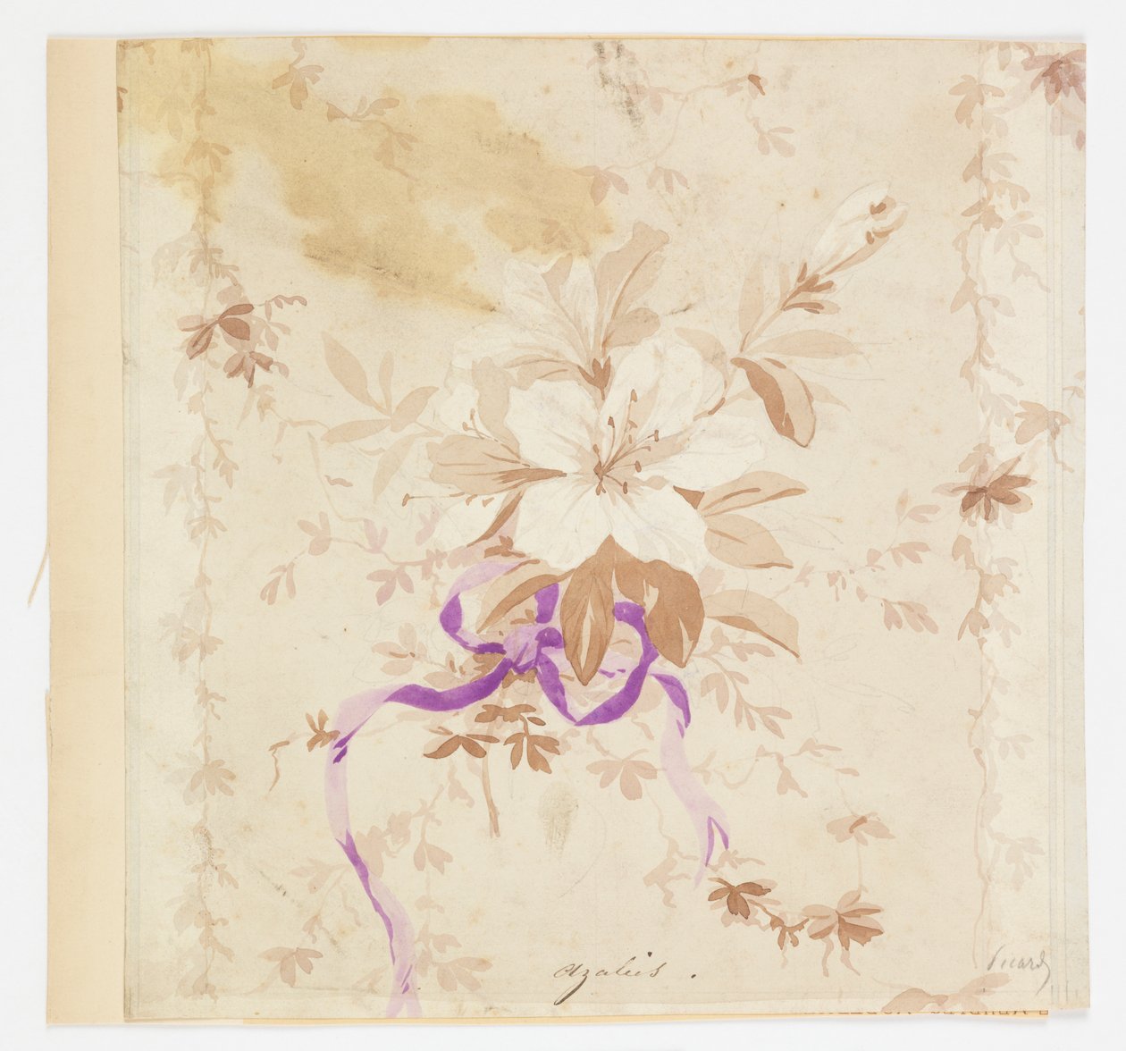 Asalea (Azalea) av Louis Apollinaire Sicard
