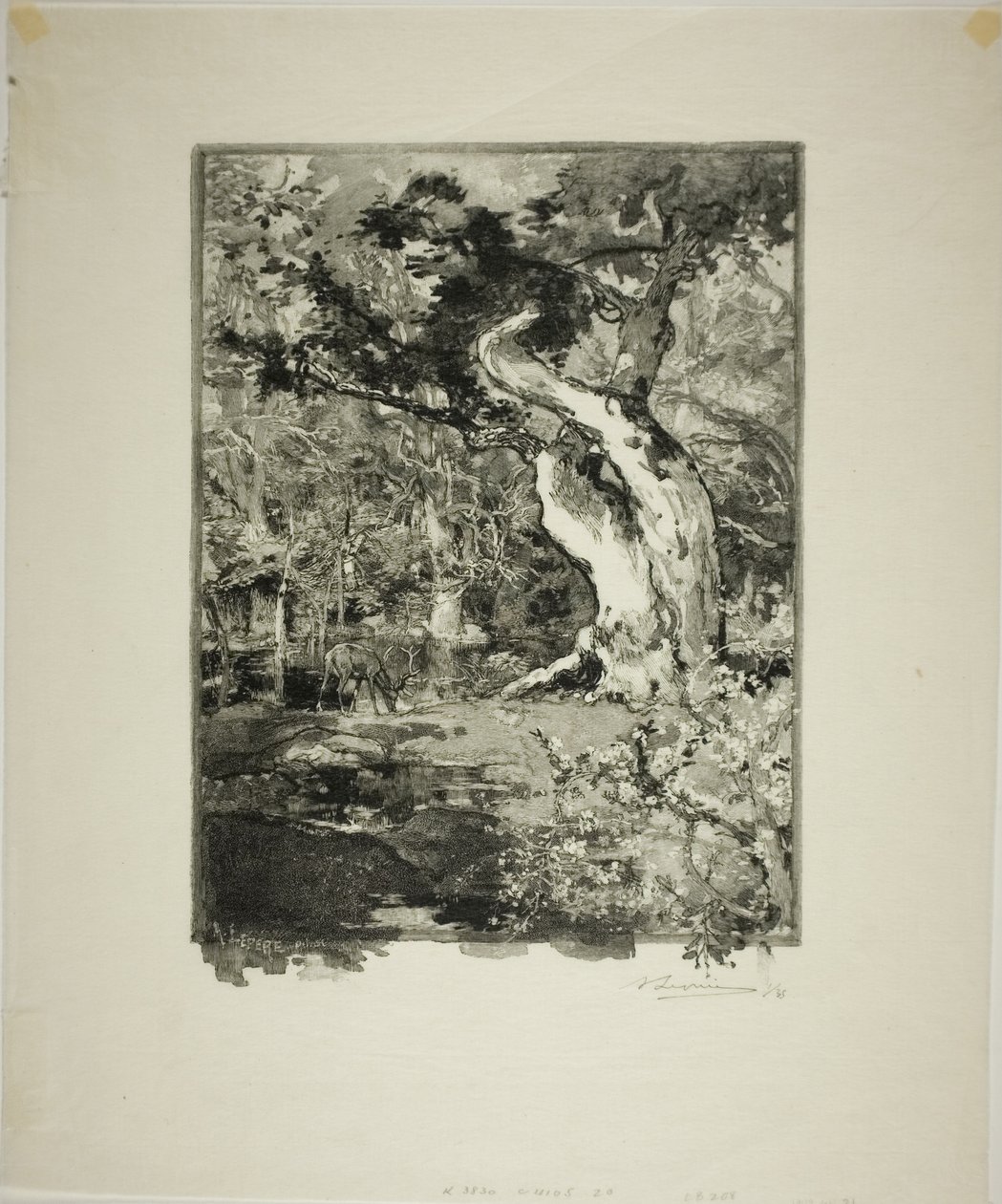  av Louis Auguste Lepère