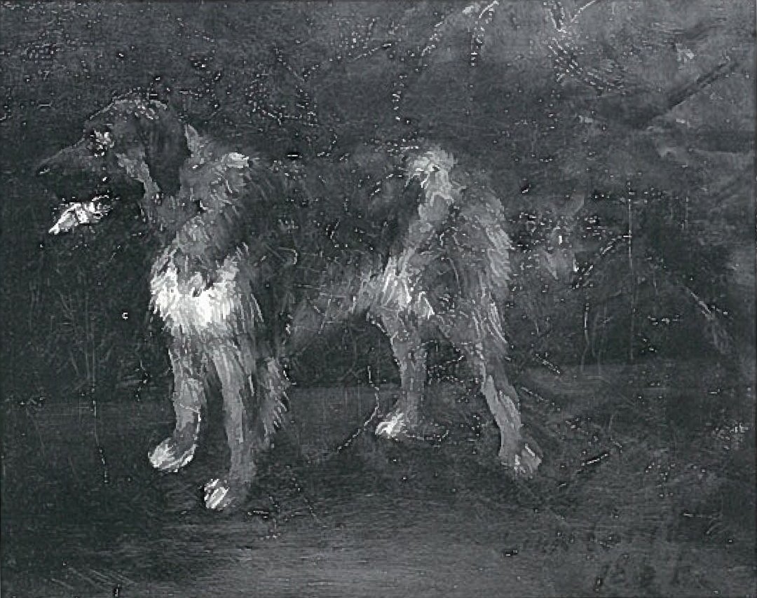 Hundestudier av Lovis Corinth