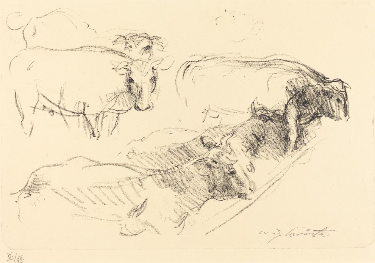 Cows Cows, 1910. av Lovis Corinth