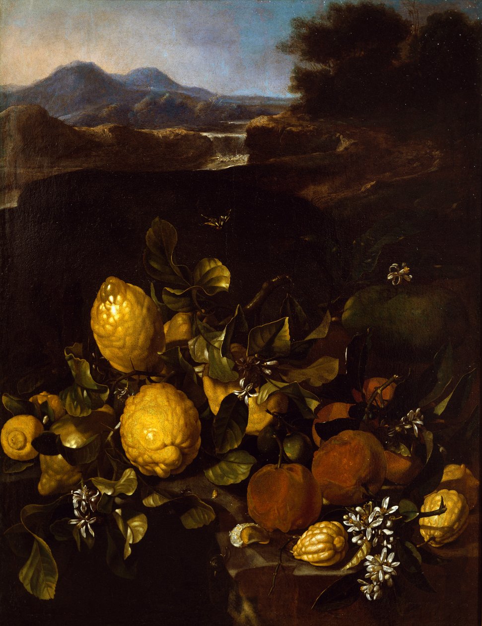 Stilleben av Luca Forte