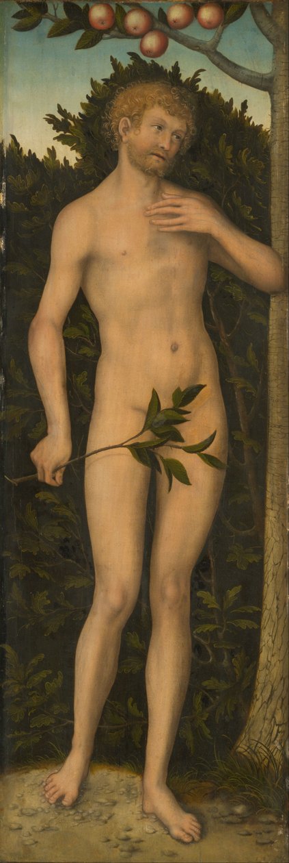 Adam av Lucas Cranach the Elder