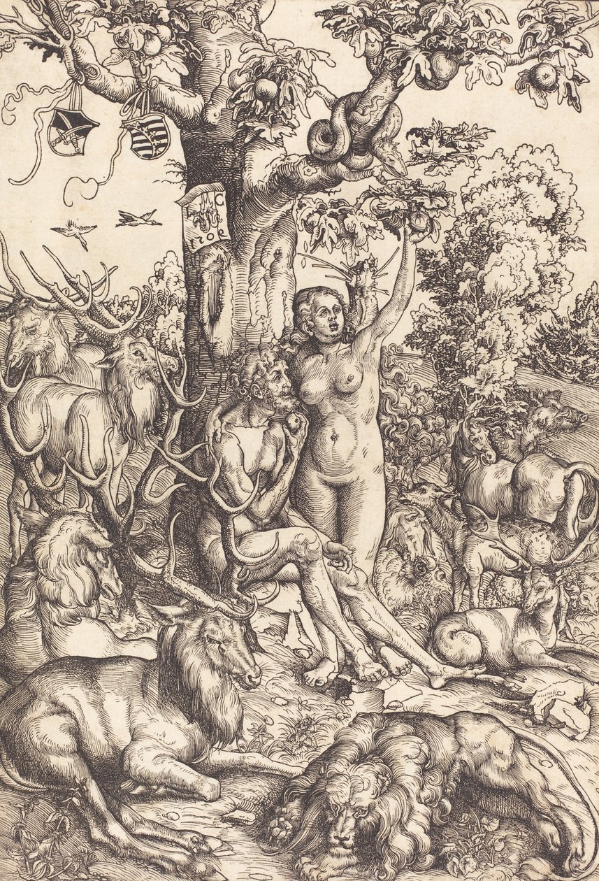 Adam og Eva (National Gallery of Art) av Lucas Cranach the Elder