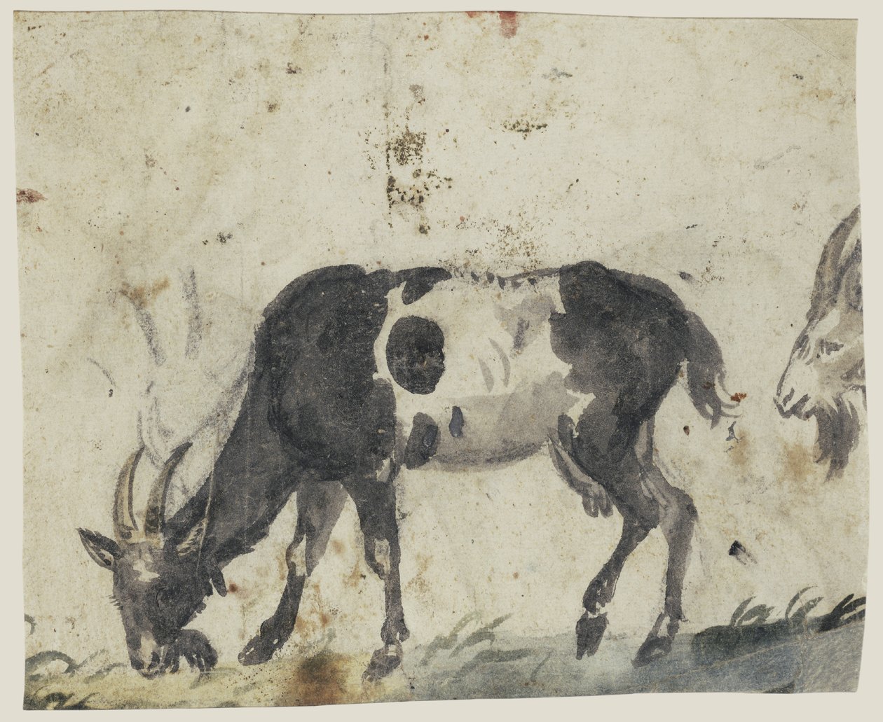 Studer med geiter av Lucas Cranach the Elder