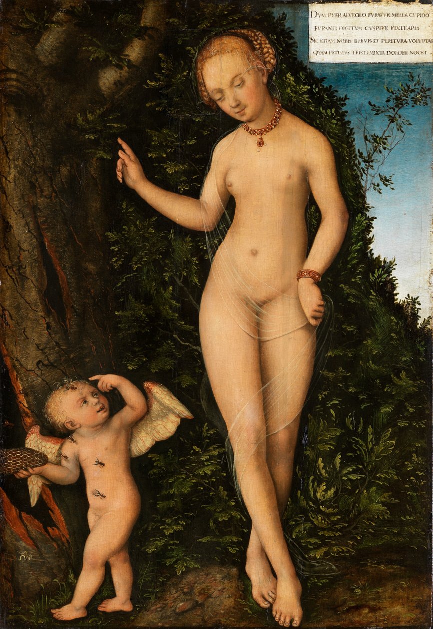 Venus og Amor, honningtyven av Lucas Cranach the Elder